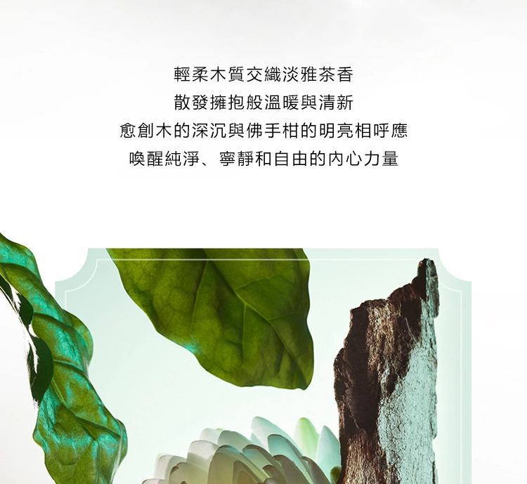 Bvlgari Pour Homme 大吉嶺 中性淡香水