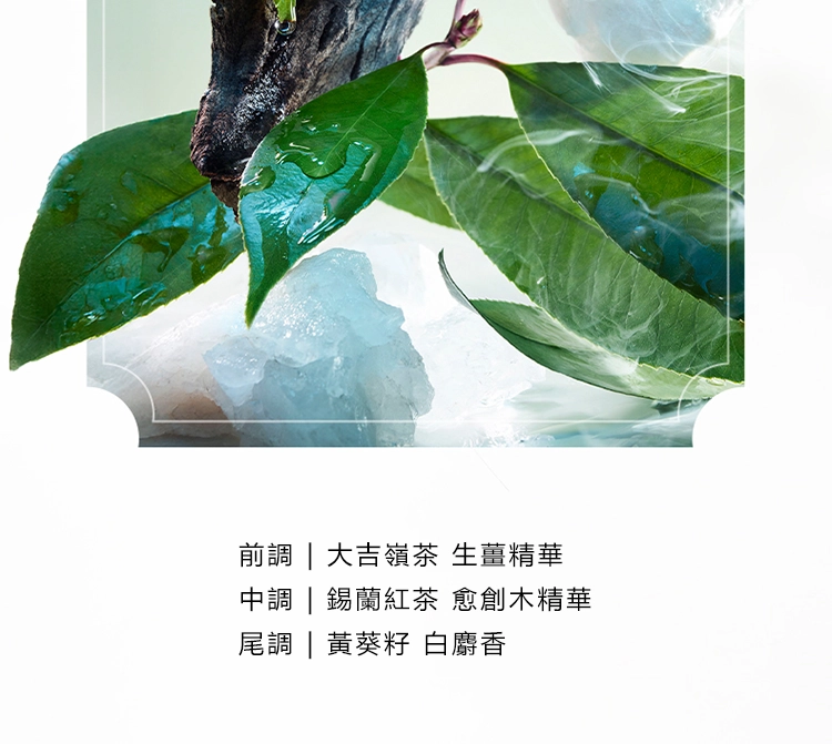 Bvlgari Pour Homme 大吉嶺 中性淡香精